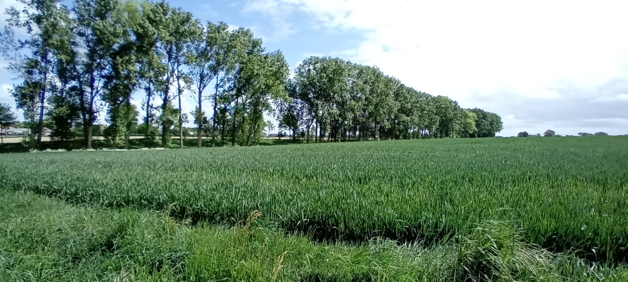 Herfsttocht 2026 - foto 1