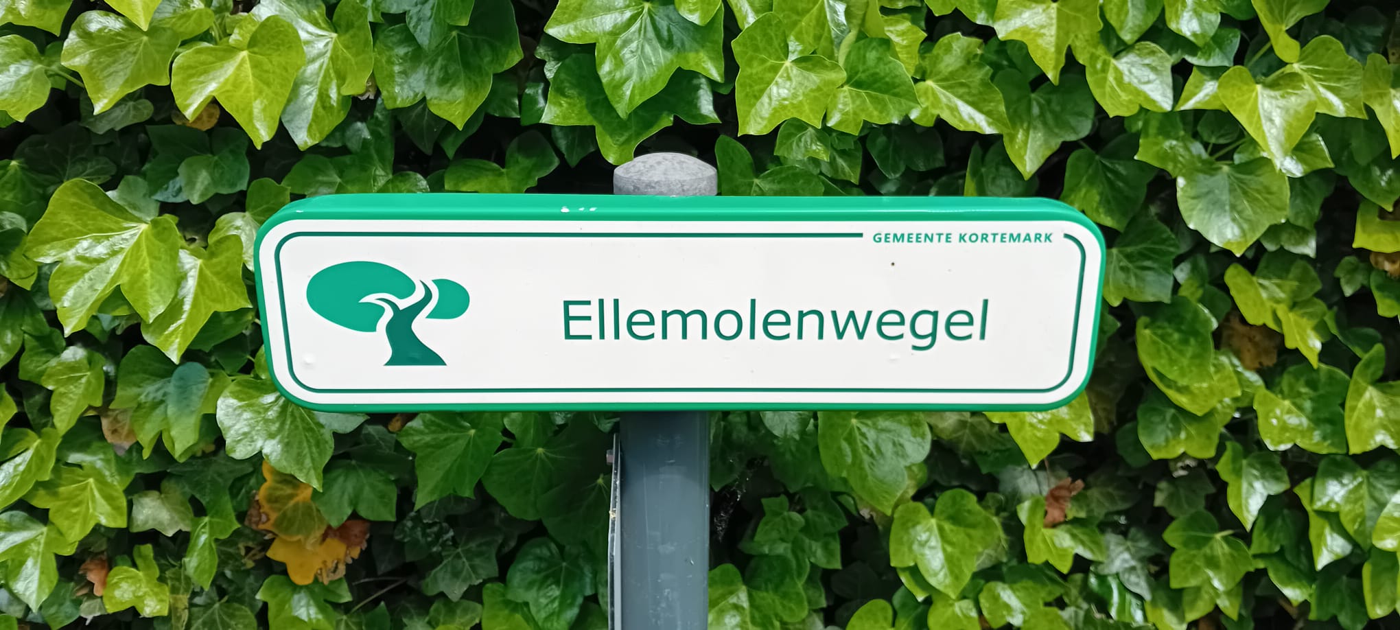 Herfsttocht 2026 - foto 2